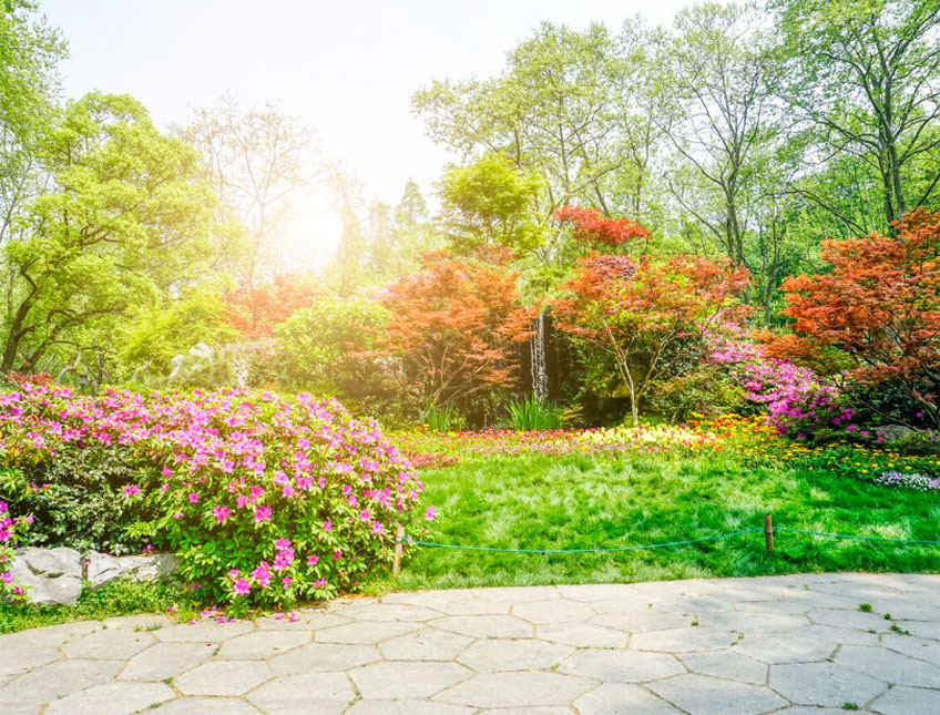 長垣市華夏園林綠化有限公司